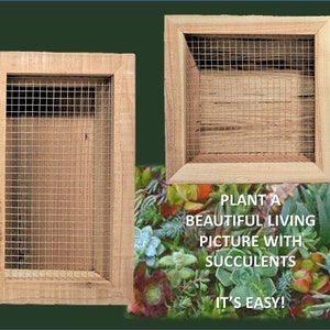 May include: Two wooden frames with wire mesh inserts. The frames are empty and ready to be planted with succulents. Text below the frames reads "Plant a beautiful living picture with succulents. It's easy!"