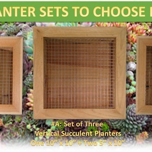 Vertical Succulent Wall Planter ~ All Cedar Box Sets ~ Indoor/Outdoor ~ Mesh/Tabletop Option ~  100 % Cedar ~ All Occasion/Gardener/Fun Gift