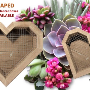 Vertical Succulent Wall Planter ~ Small/Large Heart Shape/Framed ~ 100% Cedar ~ Indoor/Outdoor Hanging/Tabletop Option ~ Valentine Gift Idea