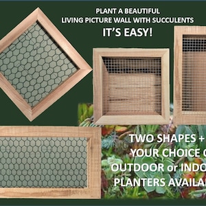 Vertical Succulent Wall Planter ~ Small/Large Box - Square/Rectangle ~ Indoor/Outdoor ~ Mesh Option ~Herb Gardens/Vertical Gardening Gifts