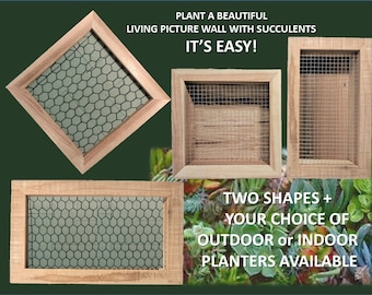 Vertical Succulent Wall Planter ~ Small/Large Box - Square/Rectangle ~ Indoor/Outdoor ~ Mesh Option ~Herb Gardens/Vertical Gardening Gifts