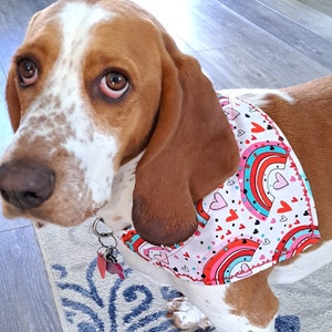 San Valentino sopra il collare Bandana per cani Amante dei cani Regalo di compleanno Regalo di Natale Calza Roba Costume per animali Cucciolo Genitore Pelliccia bambino