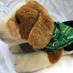 May include: A brown and white plush dog wearing a green bandana with the text "Charlotte 49er Nation" printed on it.