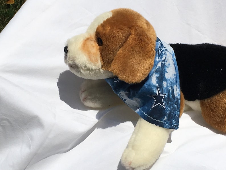 dallas cowboy dog shirt