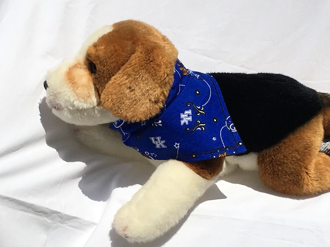 University of Kentucky Dog Bandana Over the Collar SEC Sports Etsy