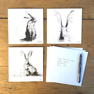Biglietti d'auguri con lepre - Confezione da 6 - 3 disegni - James Hollis - Quadrati 14,5 x 14,5 cm - Biglietti con lepre - Interno vuoto - Biglietti con fauna selvatica