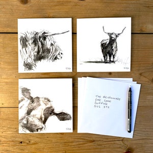 Biglietti d'auguri mucca - Confezione da 6 - 3 disegni - James Hollis - Quadrato 14,5 x 14,5 cm - Biglietti mucca - Interno vuoto - Biglietti fauna selvatica