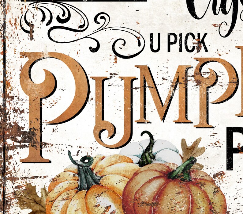 May include: A decorative sign with a distressed white background featuring the text U PICK PUMPKIN in large orange and black lettering. Below the text are illustrations of three pumpkins in shades of orange and white with green stems and brown leaves.