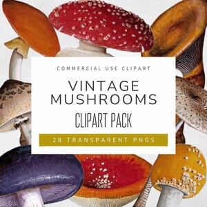Vintage Mushroom Watercolor Commercial Clipart Collection