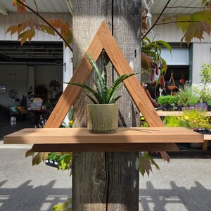 May include: A wooden shelf with a triangular frame, holding a potted snake plant. The pot is light green with a leaf pattern. The shelf is attached to a weathered wooden post, with a background of a garden center.