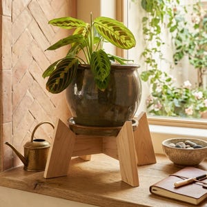 May include: A potted houseplant with green and patterned leaves sits on a wooden plant stand. The dark brown ceramic pot is round and sits on a matching saucer. A small brass watering can is to the left of the stand.