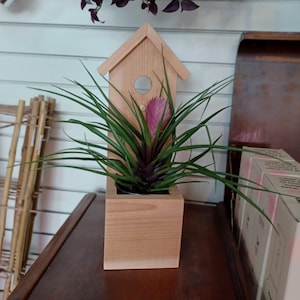 DIY an der Wand befestigte Faux Vogelhaus Pflanzkasten Pläne, Schritt für Schritt Holzbearbeitungsprojekte, Geschenkidee zum Muttertag, Basic / Beginner Holzbearbeitung