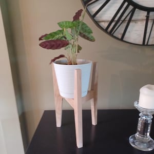 Puede incluir: Una maceta de cerámica blanca con una planta verde frondosa con hojas rojas y verdes se asienta sobre un soporte de planta de madera con cuatro patas.