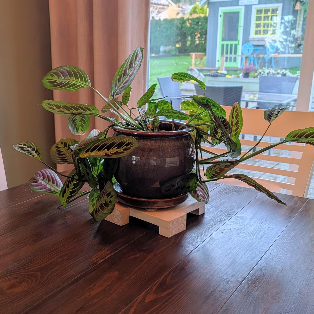 Easy DIY Low Profile Plant Riser Plan: Beginner Woodworking Project ...