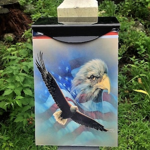 2 Bald Eagles and American Flags-Wall Mounted Mailbox