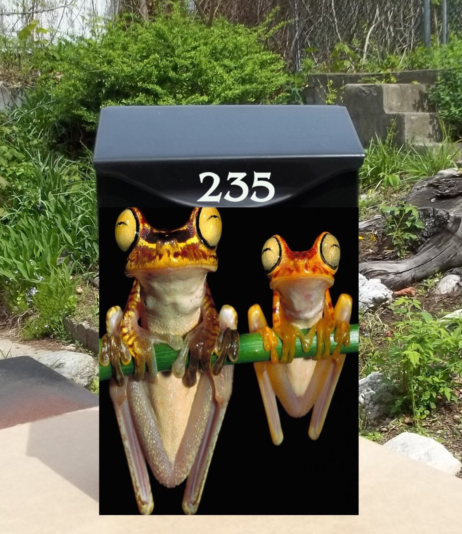 Frog In Mail Box Frogs Wall Mounted Mailbox - Etsy