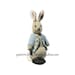 see more listings in the Bunny Rabbits section