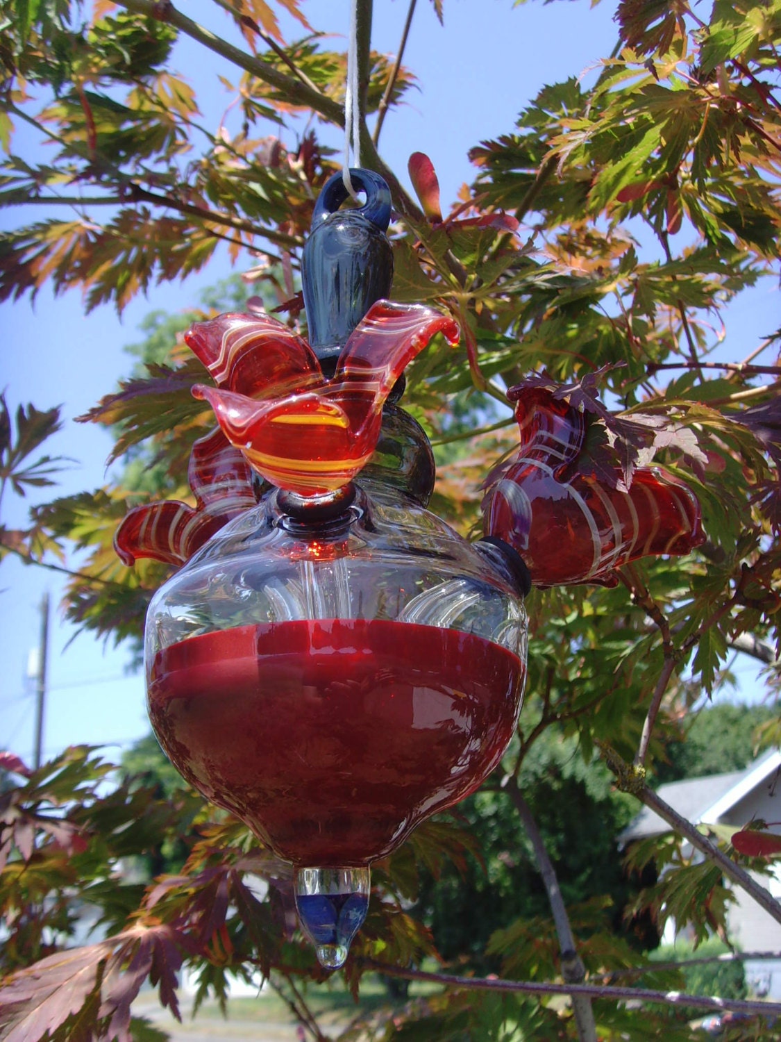 Hummingbird Feeder Hand Blown Glass 3 Feeding Spouts Etsy