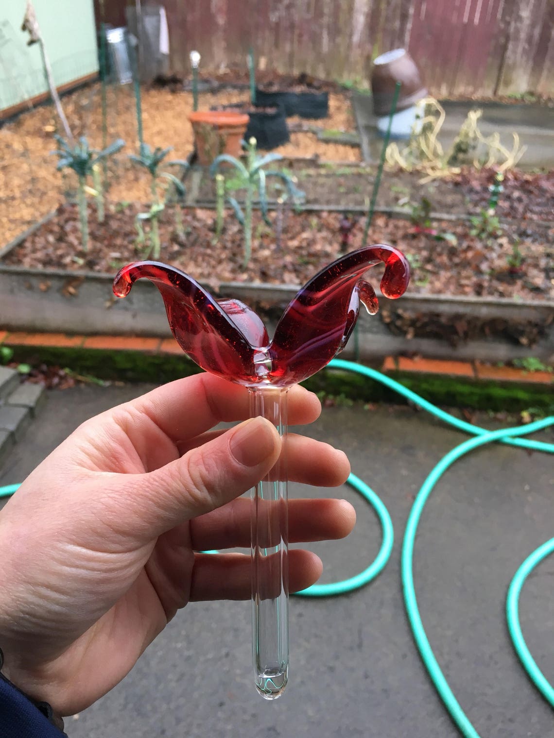 Custom Handheld Hummingbird Feeder Etsy
