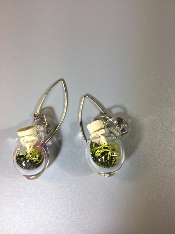 Terrarium Earrings With Cork Etsy