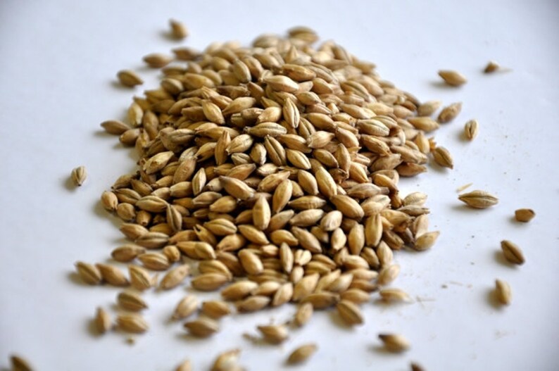 2 Row Brewers Grains for Home Brewing 1 Pound Etsy