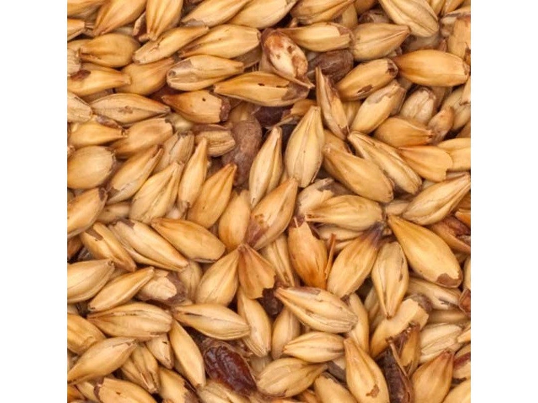 Caravienna Malt Brewers Grains for Home Beer Brewing 1 Pound Etsy
