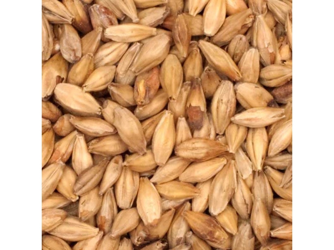 Aromatic Brewers Grains For Home Beer Brewing 1 Pound Etsy 日本