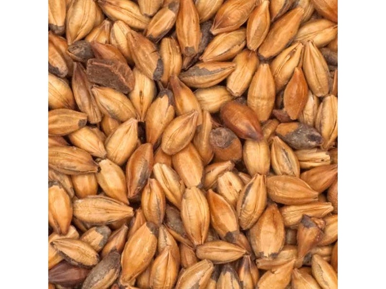 Brown Malted Grain for Home Beer Brewing 1 Pound Etsy