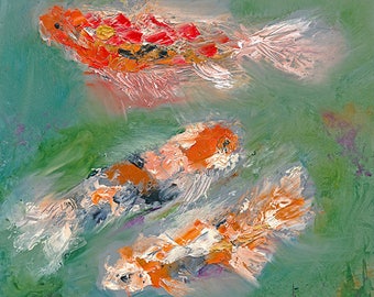 Koi