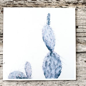 Blue Opuntia Cactus III. Greeting Card. Paddle Cactus. Prickly Pear. Blank Card. Square Card. original painting by Hilary Wootton.
