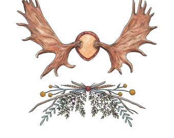 Cornamentas de los alces con ramo de flores y plumas. impresión de Giclee de la ilustración acuarela original Hilary Wootton. 8.5 "x 11"