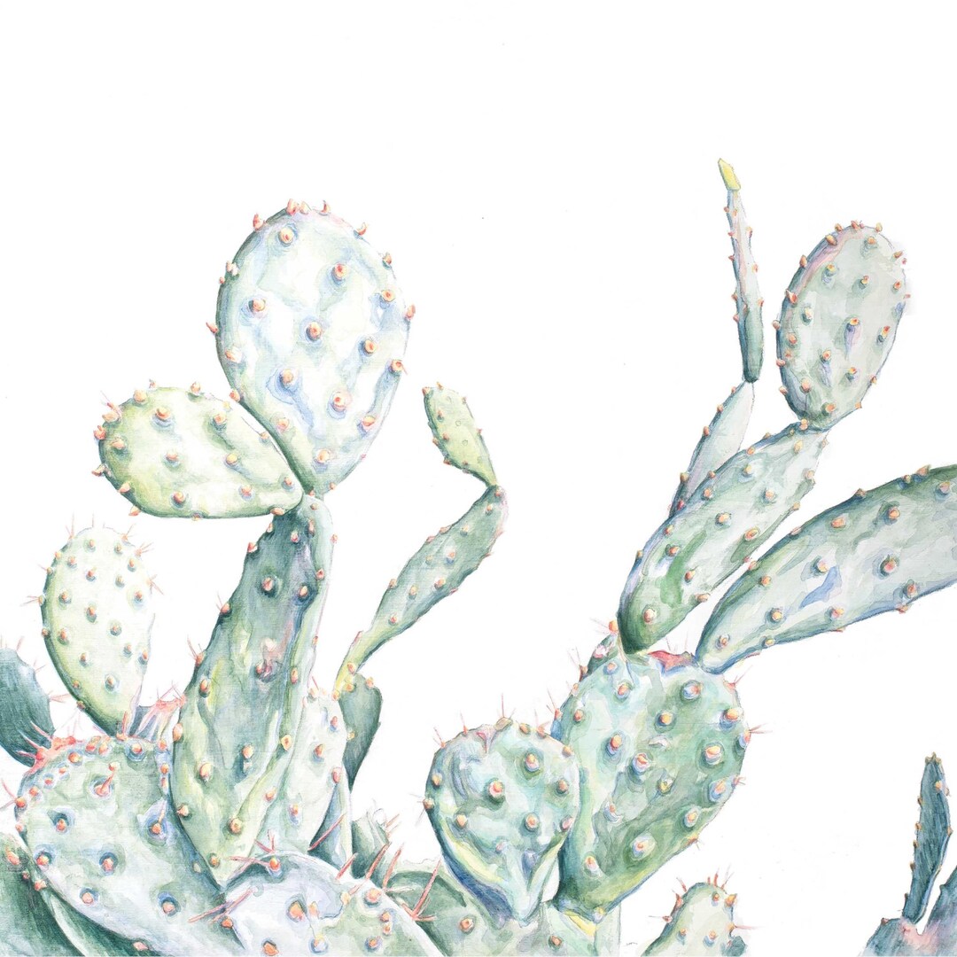 Opuntia Cactus I Prickly Pear Giclee Art Print Of Original Painting 