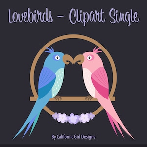 Lovebirds Clipart Single - Perfect voor Valentijnsdag, verlovingen, bruiloften en jubilea! * Aangepaste kleurwissel op aanvraag