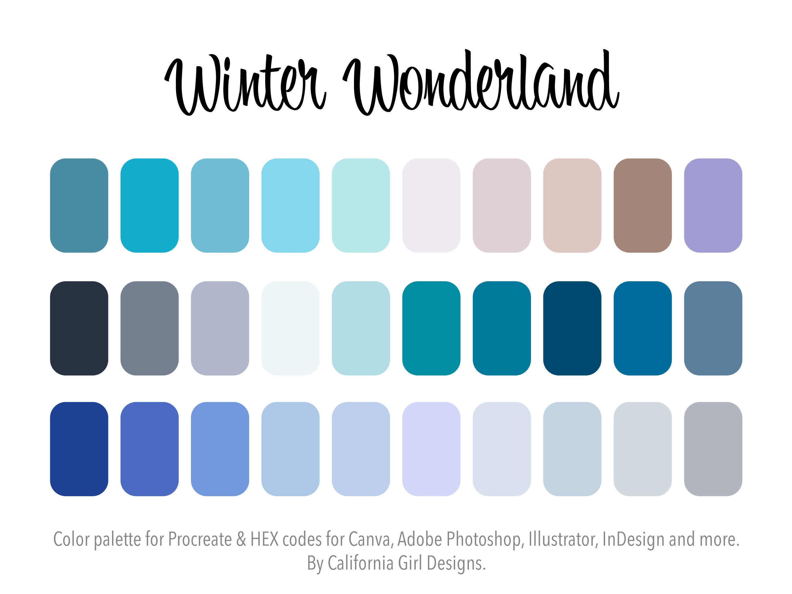 Winter Wonderland Color Palette for Procreate and HEX Codes for Canva and Adobe Creative Suite