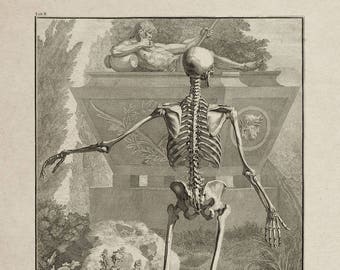 Bernhard Siegfried Albinus et Jan Wandelaar : Tableau II Squelette humain  Tabulae sceleti et musculorum, 1747 Giclee Fine Art Print -  France