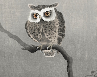 HORNED OWL Night Bird 8x10 Signed Art PRINT of Original Oil Painting by VERN