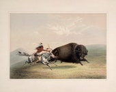 George Catlin 39 s North American Indian Portfolio quot Buffalo Chase quot (1844) - Giclee Fine Art Print