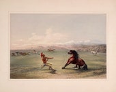 George Catlin 39 s North American Indian Portfolio quot Catching the Wild Horse quot (1844) - Giclee Fine Art Print