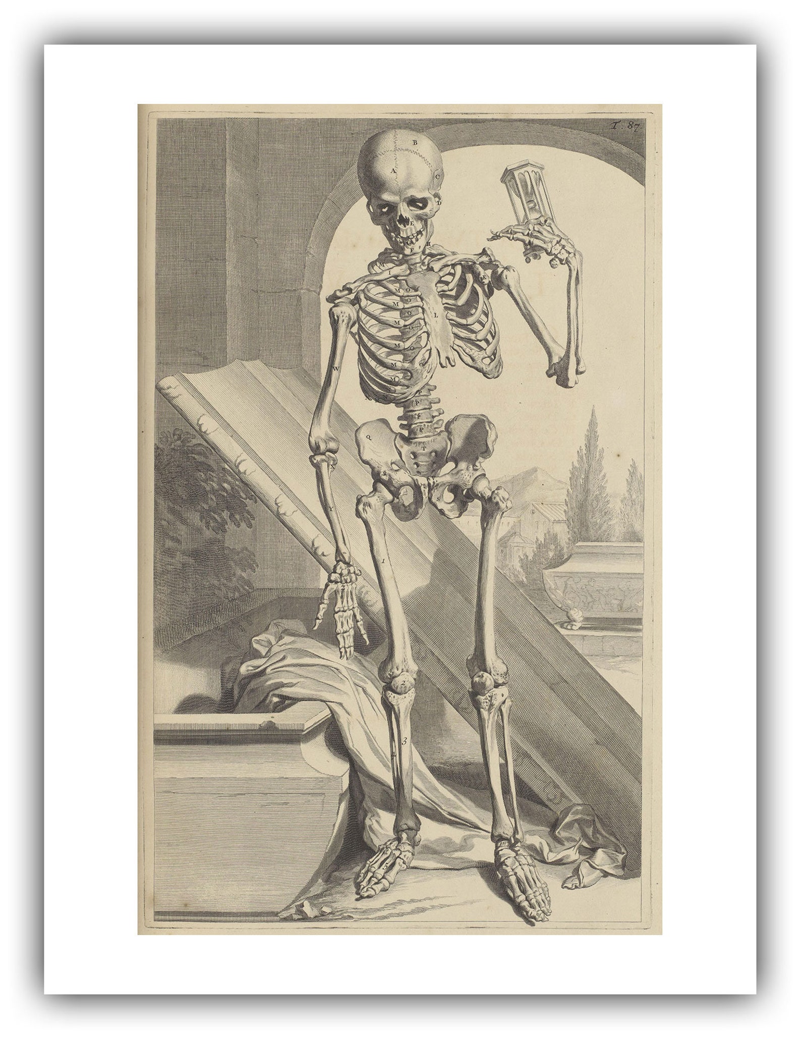 Skeleton Rising Govard Bidloo and Gerard De Laireese : Skeleton Rising From Tomb (table ...