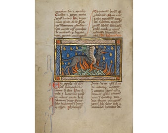 Bestiary Illumination : A Salamander (c. 1270) - Giclee Fine Art Print