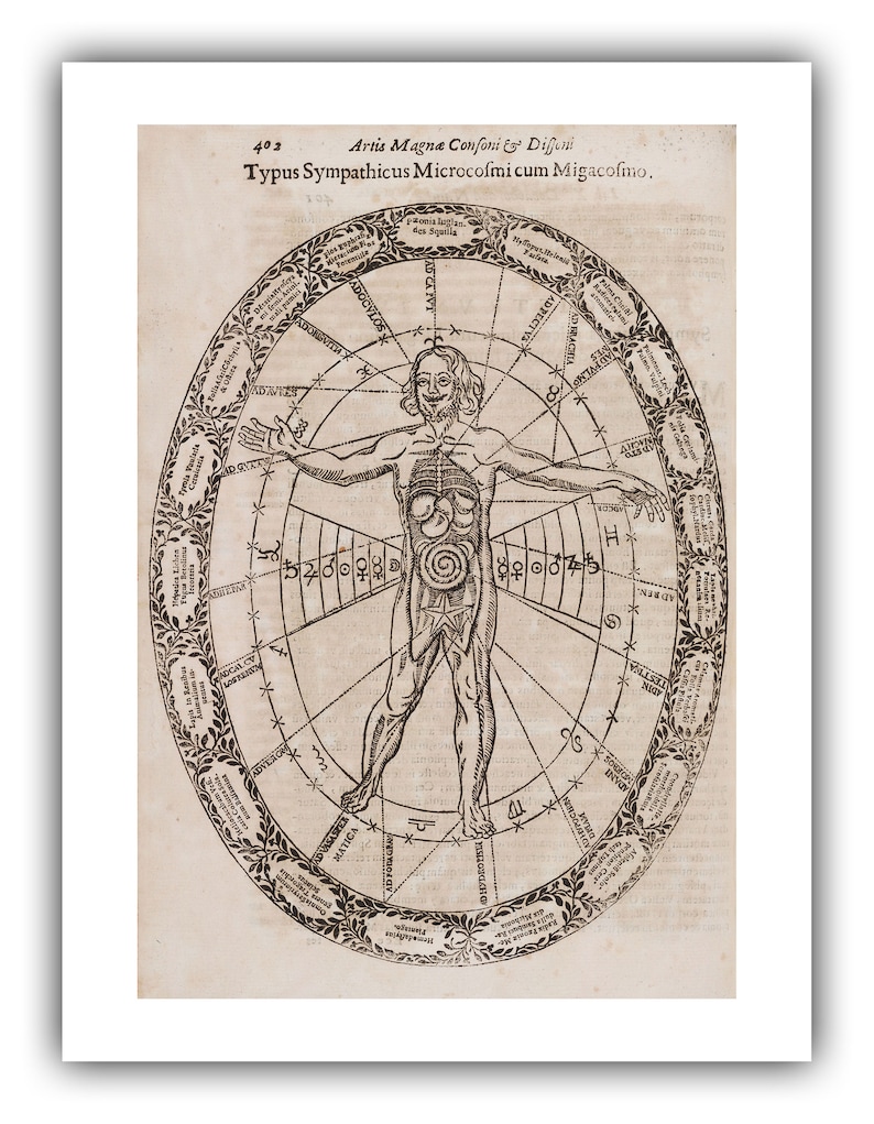 Athanasius Kircher : Typus Sympathicus Microcosmi cum Migacosmo Musurgia Universalis, 1650 Giclee Fine Art Print 9 x 12 inches