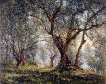 Henry Brokman : Olive Trees in Menton (1918) - Giclee Fine Art Print