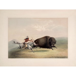 George Catlin&#39;s North American Indian Portfolio : Buffalo Chase (1844) - Giclee Fine Art Print