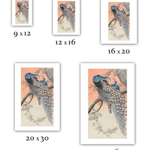 Ohara Koson : Two Peacocks on a Tree Branch (undated) - Giclee Fine Art ...