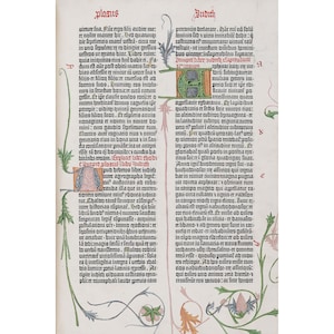 May include: A page from a medieval manuscript with text in black ink on a white background. The text is surrounded by decorative borders with green, red, and blue floral designs. The text includes the words "Plosus" and "Judith".
