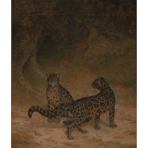 May include: A painting depicting two leopards in a dark forest setting. The leopards are brown and black with spots. The painting is executed in a realistic style.