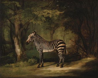 George Stubbs : Zebra (1763) - Giclee Fine Art Print