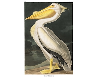 ミルトンの『失楽園』（1888年） - ギュスターヴ・ドレ作画 - 彫刻入り