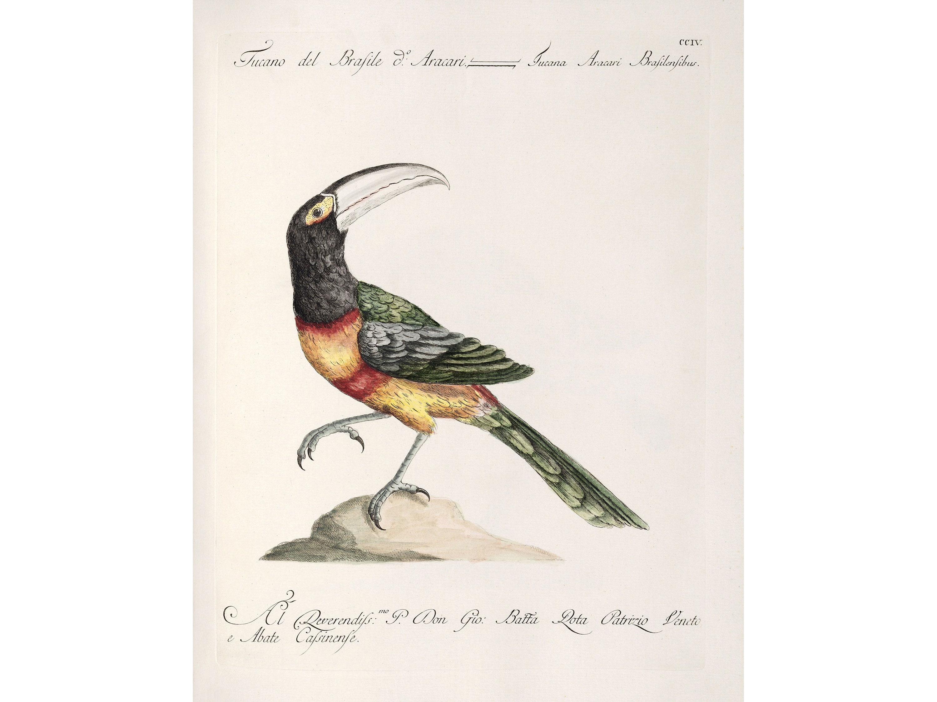 Lorenzo Lorenzi - Etsy UK