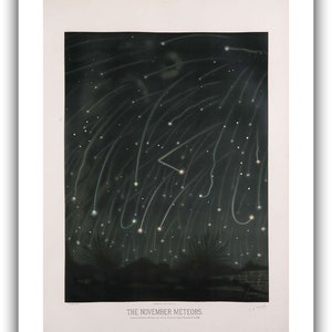 May include: A vintage illustration depicting a night sky filled with streaks of light from the November meteors. The caption reads "THE NOVEMBER METEORS. Observed between Brighton and Lewes, U.K. on the night of November 13, 1833."
